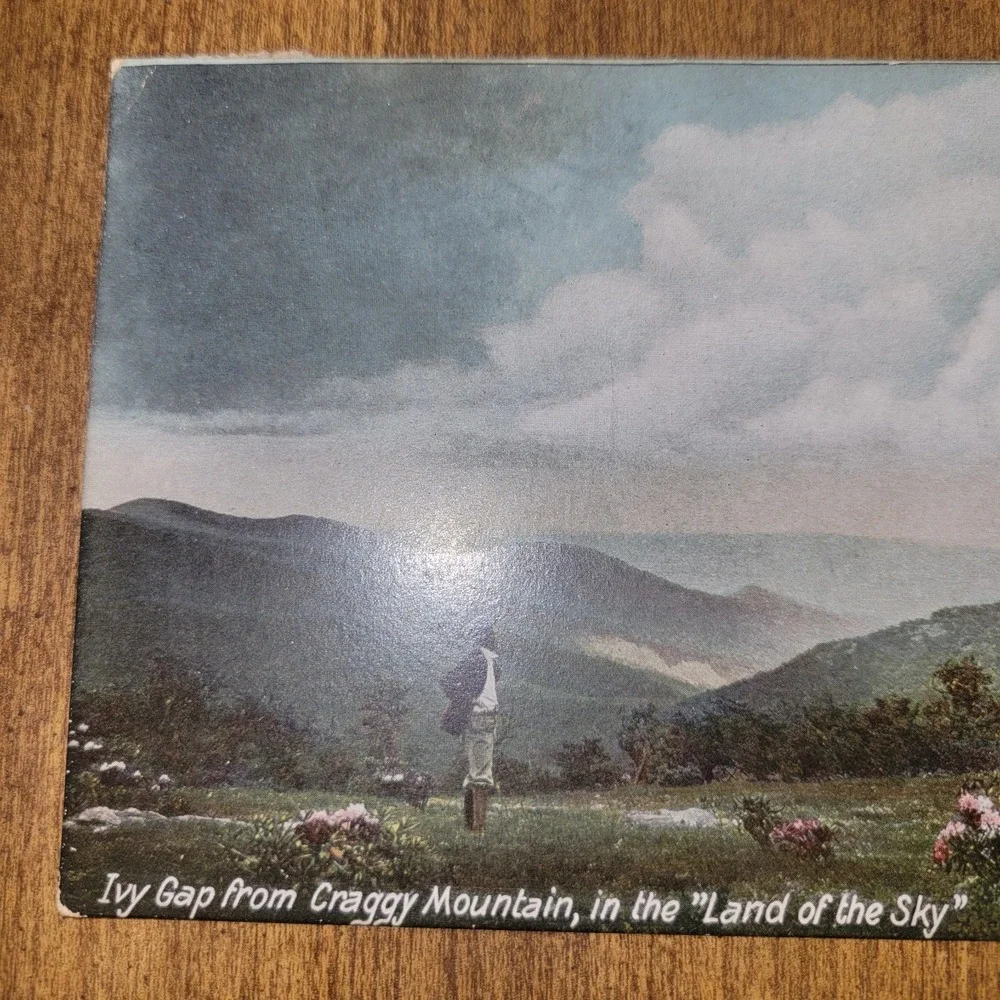 1908 Ivy Gap Craggy Mountain‎ Asheville NC Postcard Land of the Sky 1¢...